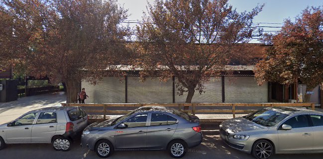 La barra de los bravos Talca