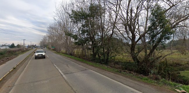 Brujas Produccion Hogareña - Panaderia Local