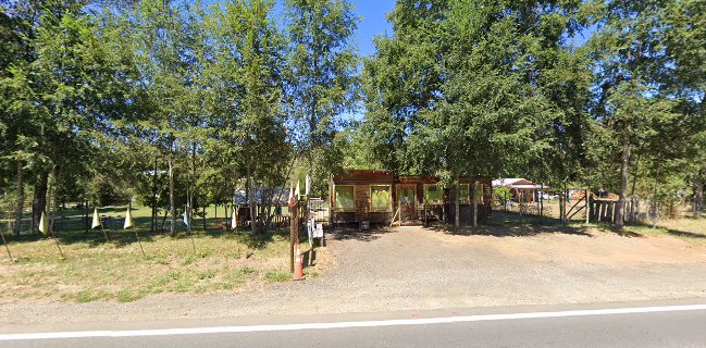 Empanadas y kuchen Elizabeth