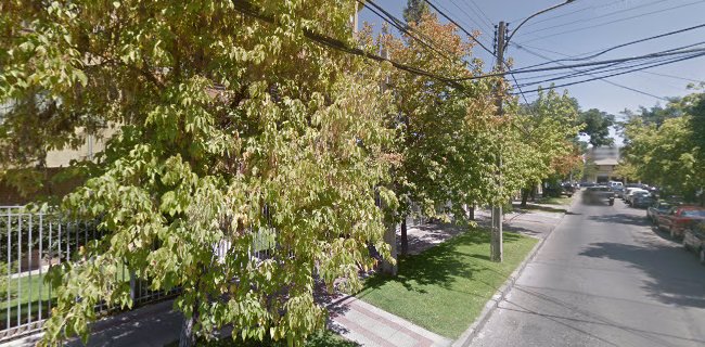 Heladeria Y Pasteleria Alsa France Limitada