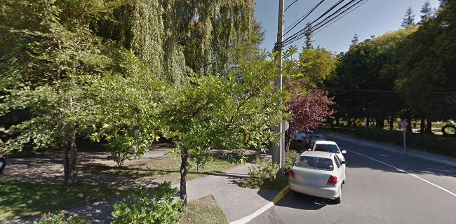 Aniela V. Bastidas Salgado