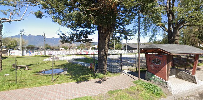 KIMEY Comida Mapuche