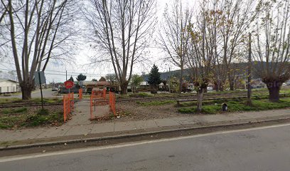 Restaurant Y Turismo Las Palmeras Limitada