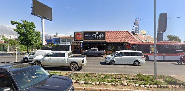 Mister Fish La Reina