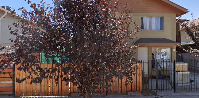 Los Maestros De Buin