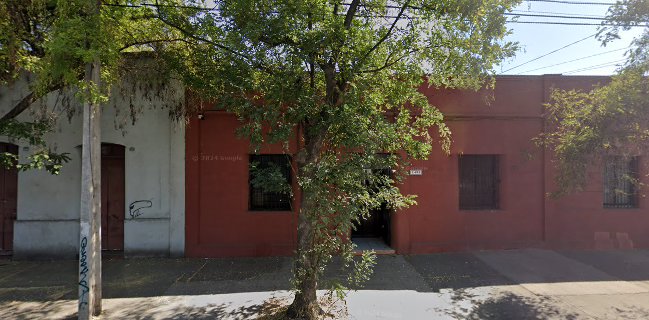 Luz Tostadores de Café