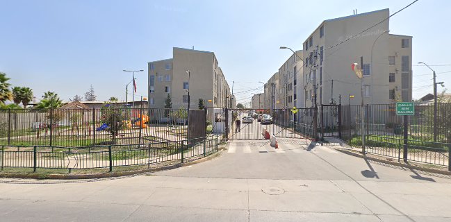 Paola Andrea Riffo Argomedo