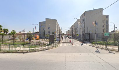 Paola Andrea Riffo Argomedo