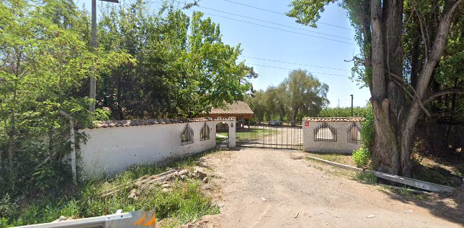 Viñedo Cristobal Muñoz Illanes