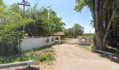 Viñedo Cristobal Muñoz Illanes