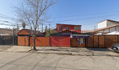 Amasanderia Nicoletti