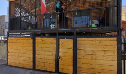 Yanitsa Deyanira Gonzalez Abarca