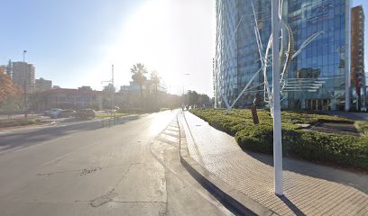 Ignacio Valenzuela Moraga, Servicios Profesionales De Periodismo Y Pub