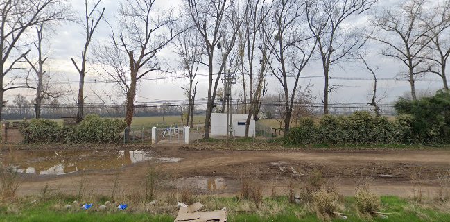 Polo Restobar -Rodrigo Undurraga