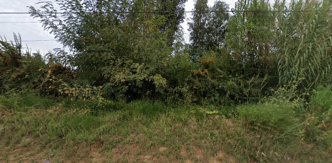 Pastelería La Cucina de Polilla