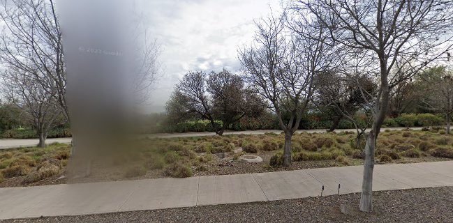 Chefs and catering Banquetería y producción de eventos