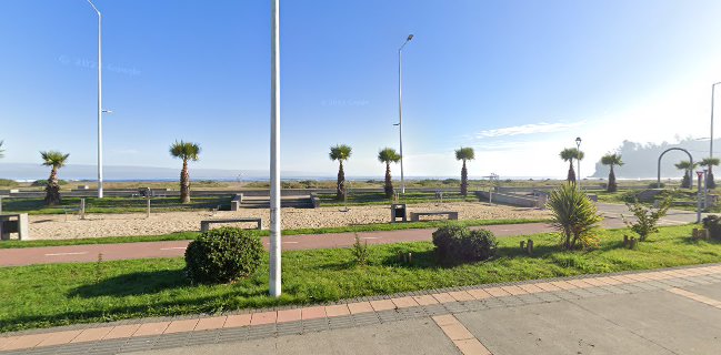 CABAÑAS LARAQUETE, FRENTE AL MAR ,CERCA DE CONCEPCION