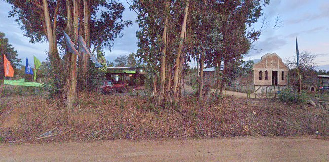 Mayjo sabores campestres