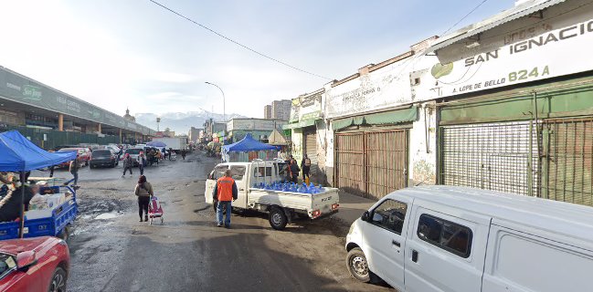 Renta E Inversiones Dona Carmen S A