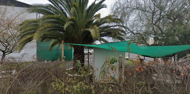 Packing Siegel la laguna