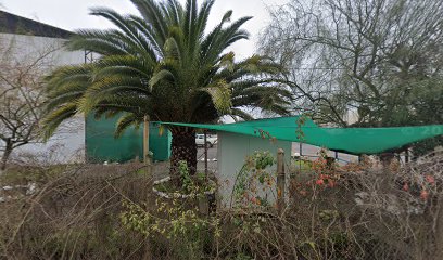 Packing Siegel la laguna