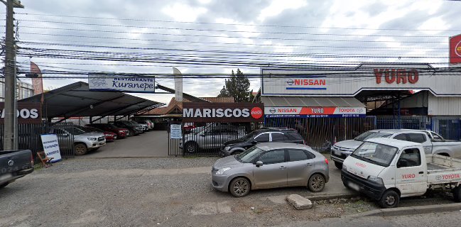 Kuranepe Restaurante