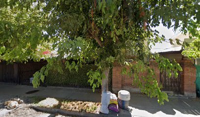 Sara Danila Toro Alarcon