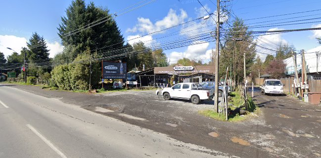 Opinii despre Wenu Pillán Cervecería y Restaurante în Villarrica - Gastronomía y hostelería