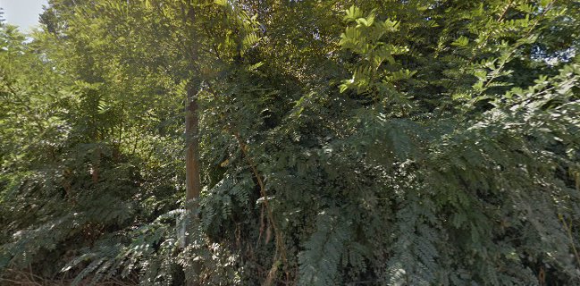 Sc San Vicente De Tagua Tagua