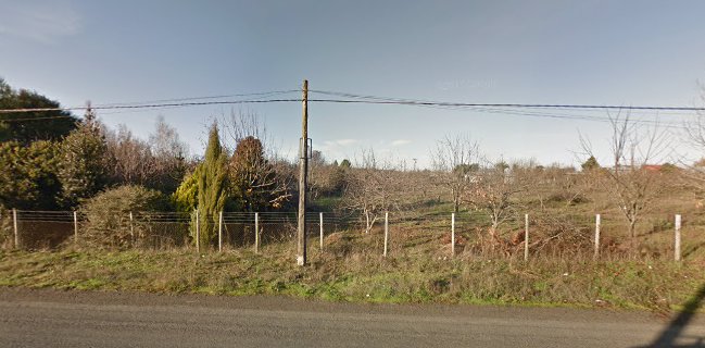 Reviews of Café del vivero in Chillán - Gastronomía y hostelería