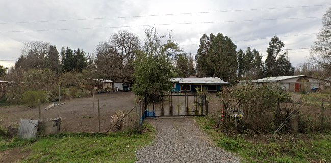 Panadería y Pastelería Fénix Limitada