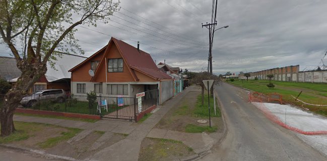 Terra-Mar Congelados