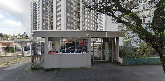 Coffe bear cafeteria y pasteleria