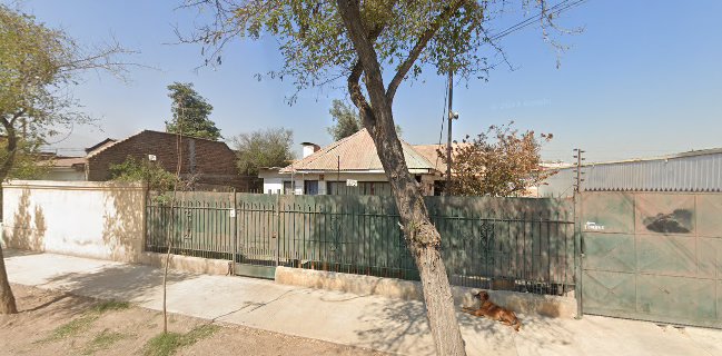 Gelateria Zapallar Limitada