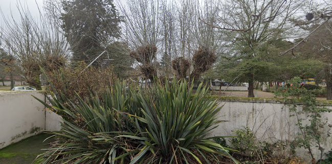 Estadio Español de Curico