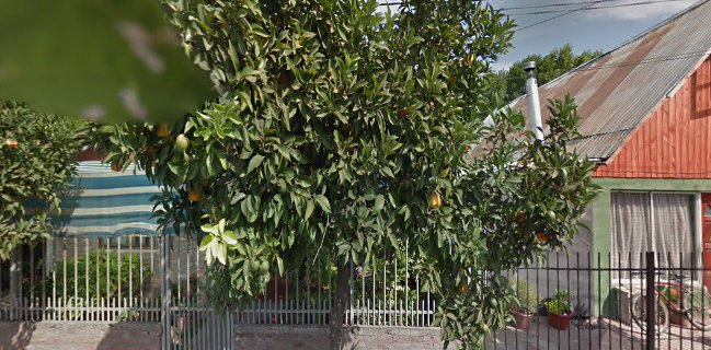 Mercado De San Fernando