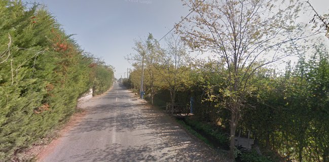 Sabores Del Cerrillo