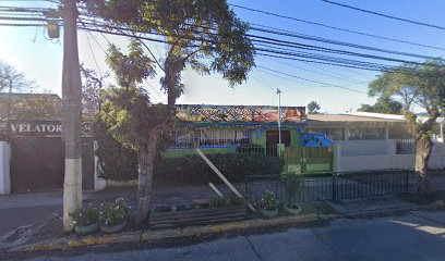 Sandra Trigo Saavedra