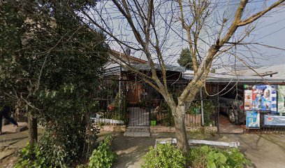 Urra Albornoz Teresa Agustina