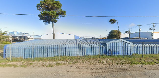 Planta Salmones Aysén Ancud