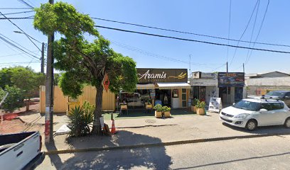 Quintanilla Yanez Sandra Elizabeth