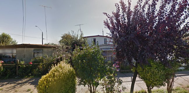 Pizzantro pub restaurant