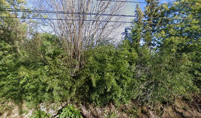 COMERCIAL MONTECHICO SPA