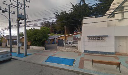 Patagonia Gastronomica