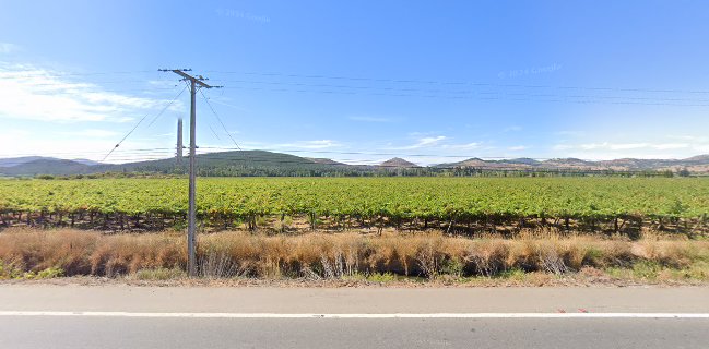 BODEGAS Y VIÑEDOS RIO CLARO LTDA
