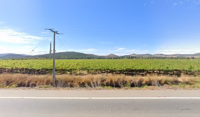 BODEGAS Y VIÑEDOS RIO CLARO LTDA