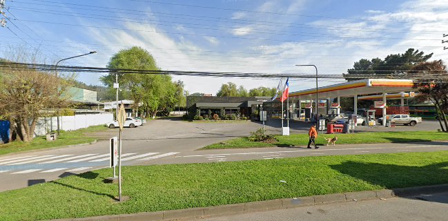 DC - Restaurant Don Camarón