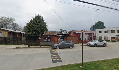 Peregrino