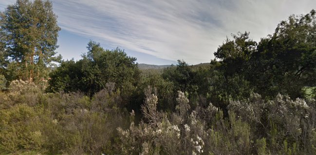 La Casona de Ballita