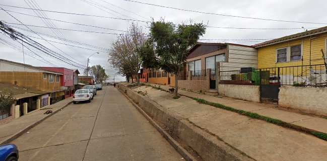 Feria de las Pulgas y Verduras